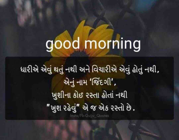 Gujarati Quotes by shah : 111098984