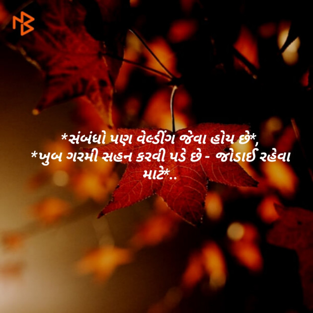 Gujarati Shayri by Patel Dipa : 111099215