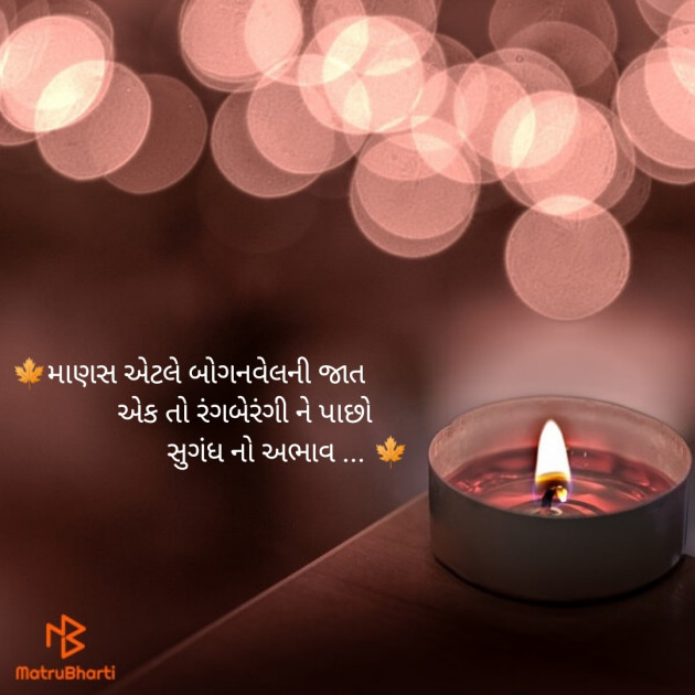 Gujarati Thought by Mk solanki : 111099296