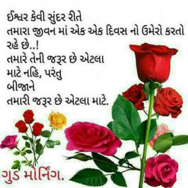 Gujarati Whatsapp-Status by Rajesh Samdhiya : 111099384