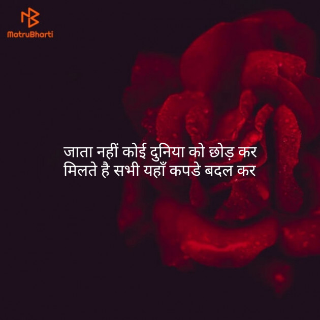 Gujarati Shayri by shree ram : 111099413