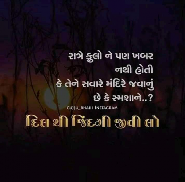 Gujarati Whatsapp-Status by Chirag vachhani : 111099484