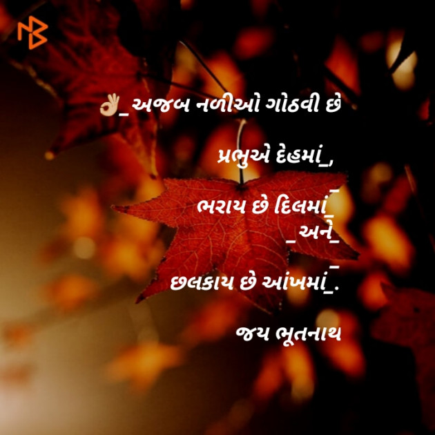 Gujarati Blog by Chetan Joshi : 111099683