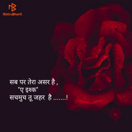 Post by Mahesh Chauhan on 25-Feb-2019 06:07pm