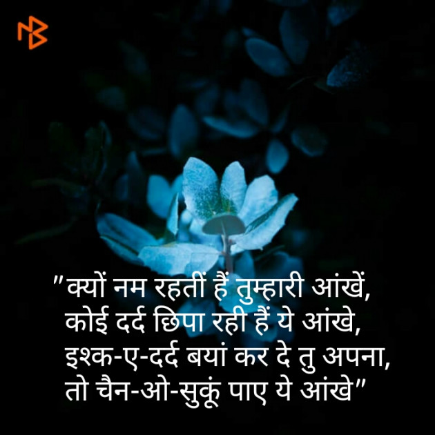 Hindi Shayri by Shaihla Ansari : 111099995