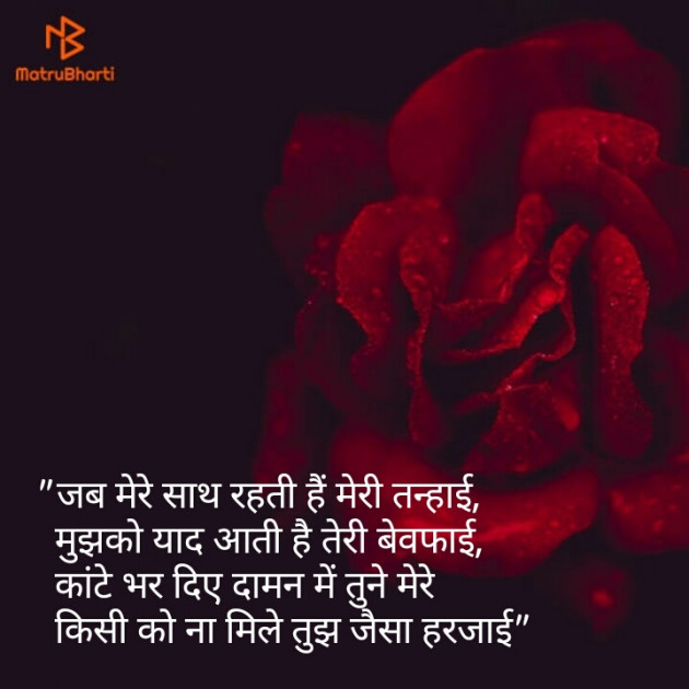 Hindi Shayri by Shaihla Ansari : 111100323