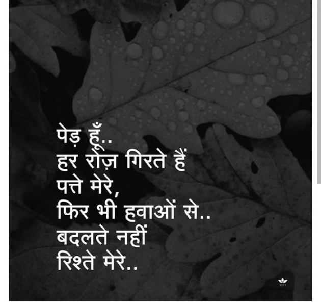 Gujarati Shayri by Nai Jignesh : 111100384