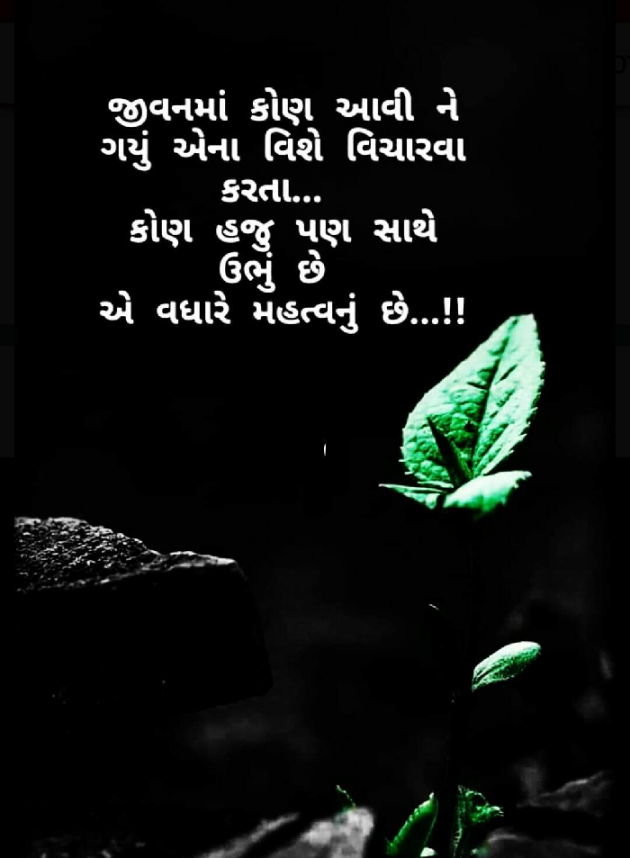 Gujarati Shayri by Punam Panchal : 111100634