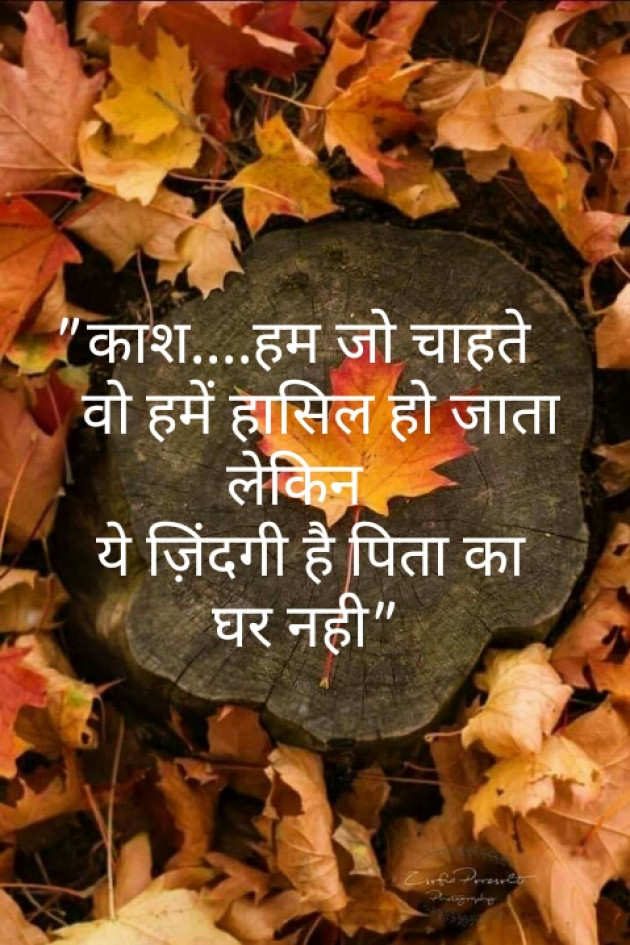 Hindi Quotes by Shaihla Ansari : 111100919