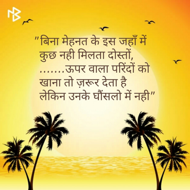 Hindi Quotes by Shaihla Ansari : 111100927