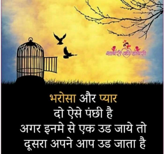 Gujarati Shayri by Chauhan Hiren : 111101065