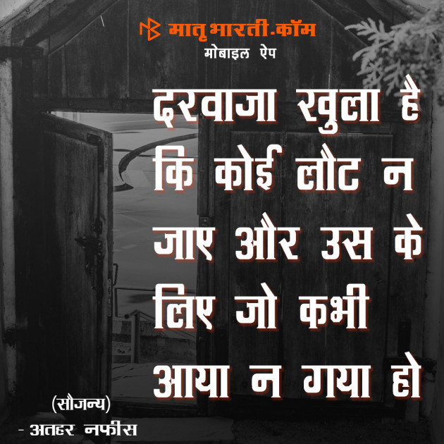 Hindi Shayri by MB (Official) : 111101150