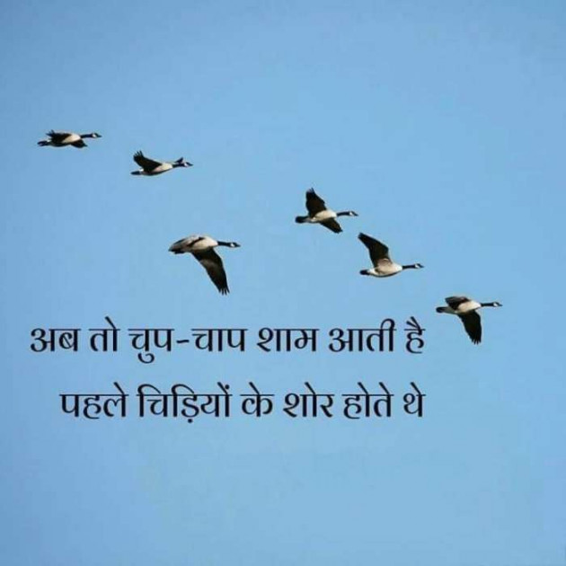 Hindi Thought by Milap : 111101172