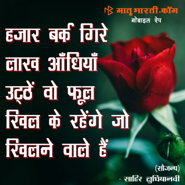 Hindi Shayri by MB (Official) : 111101207