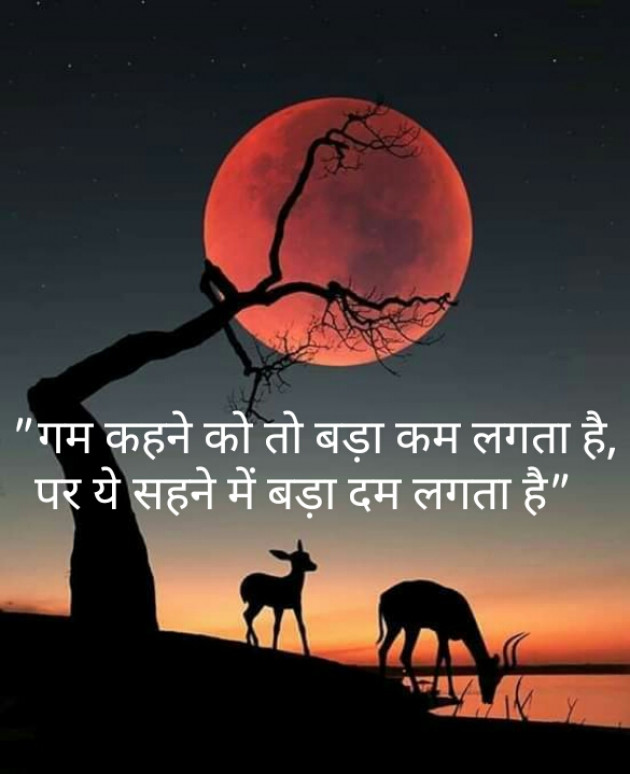 Hindi Shayri by Shaihla Ansari : 111101328