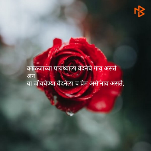 Marathi Shayri Quotes By Deepak Tokalwad 111101431 Free Quotes