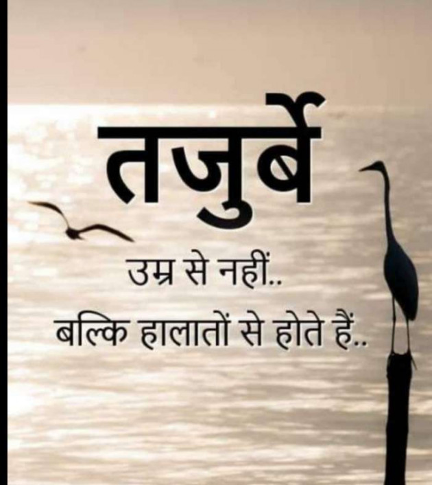 Gujarati Thought by kadam raju : 111101491