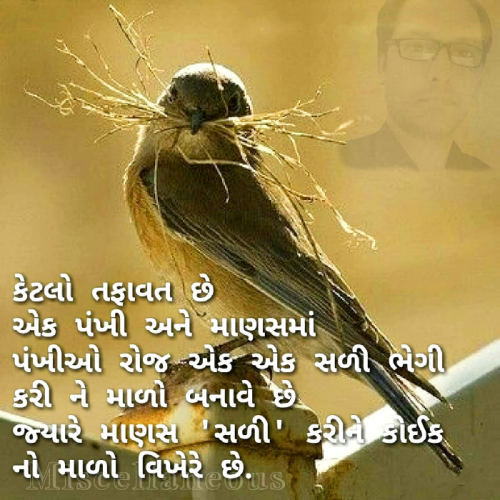 Post by Nirav Prajapati on 28-Feb-2019 09:10pm