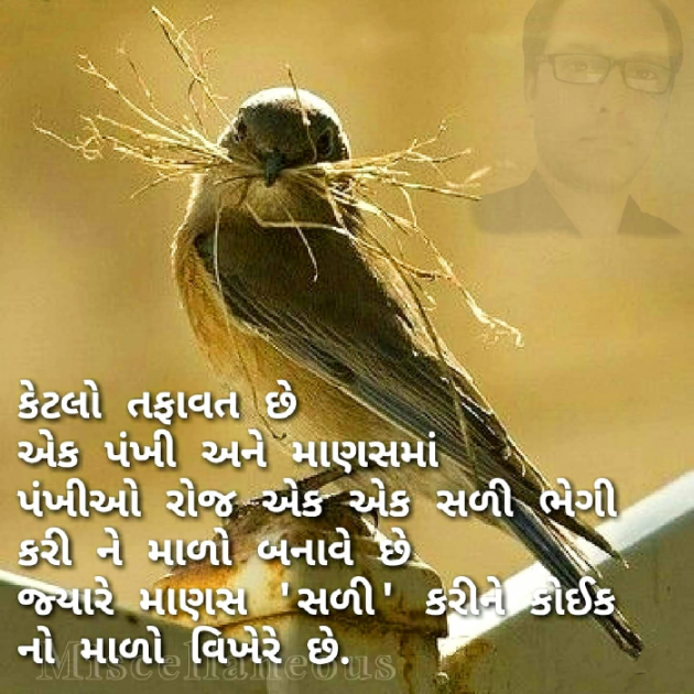 Gujarati Motivational by Nirav Prajapati : 111101864