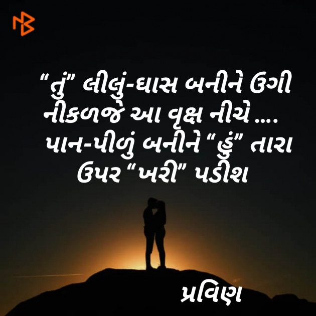 Gujarati Shayri by Pravin.. : 111102010