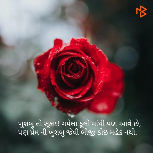 Gujarati Whatsapp-Status by Nikunj Mevada : 111102121