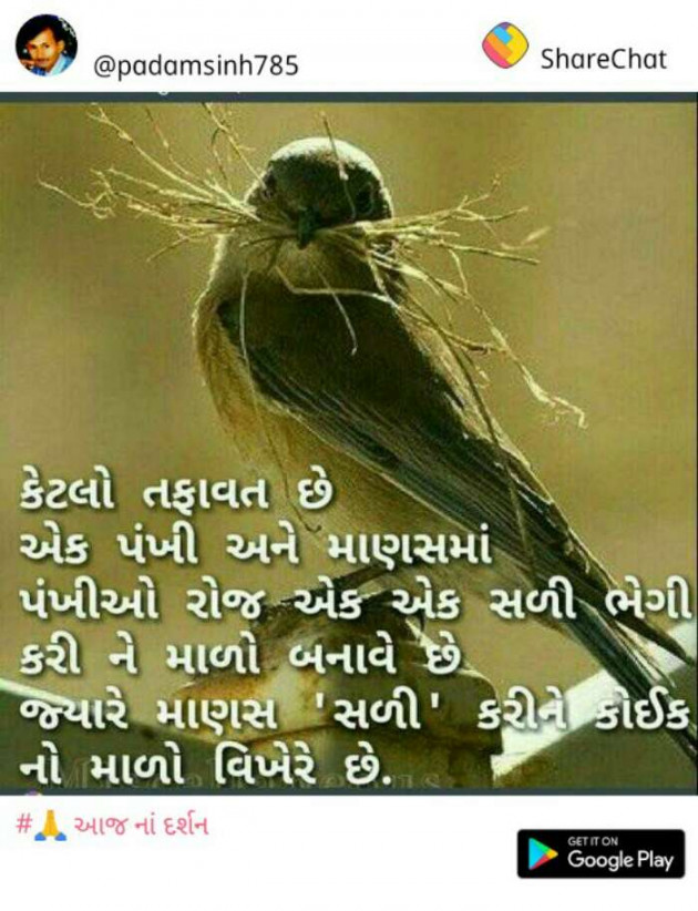 Gujarati Whatsapp-Status by Rajesh Samdhiya : 111102303