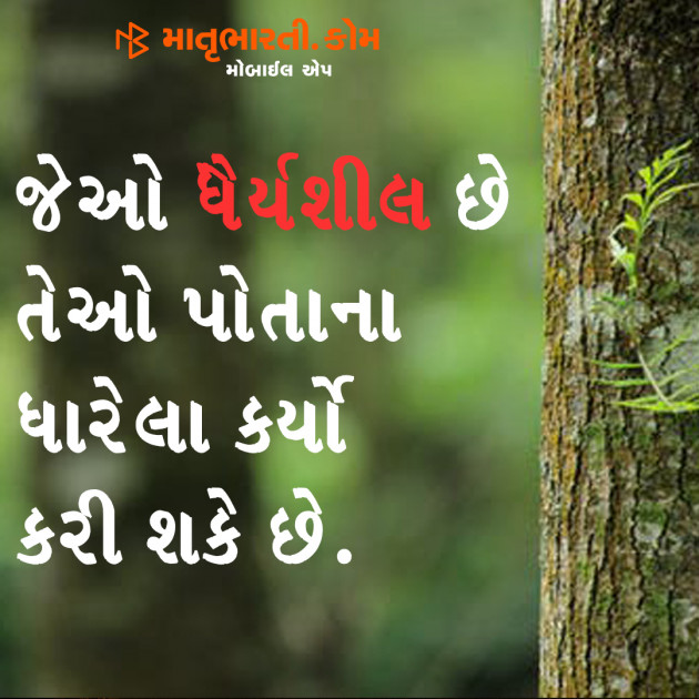 Gujarati Shayri by MB (Official) : 111102401
