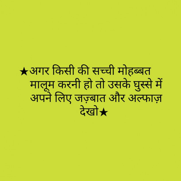 Hindi Quotes by Shaihla Ansari : 111102634