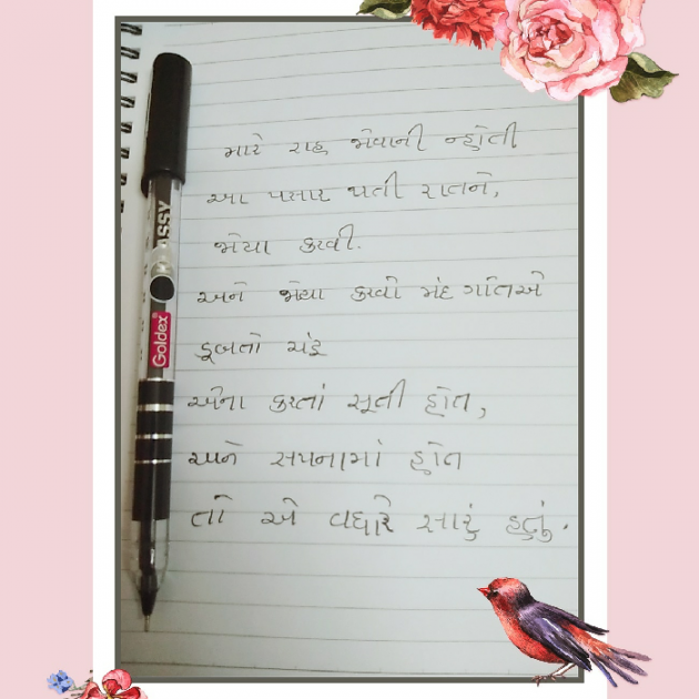 Gujarati Blog by Dipali Thacker : 111102926