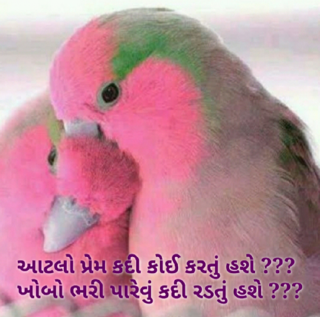 Gujarati Blog by Nidhi_Nanhi_Kalam_ : 111102954