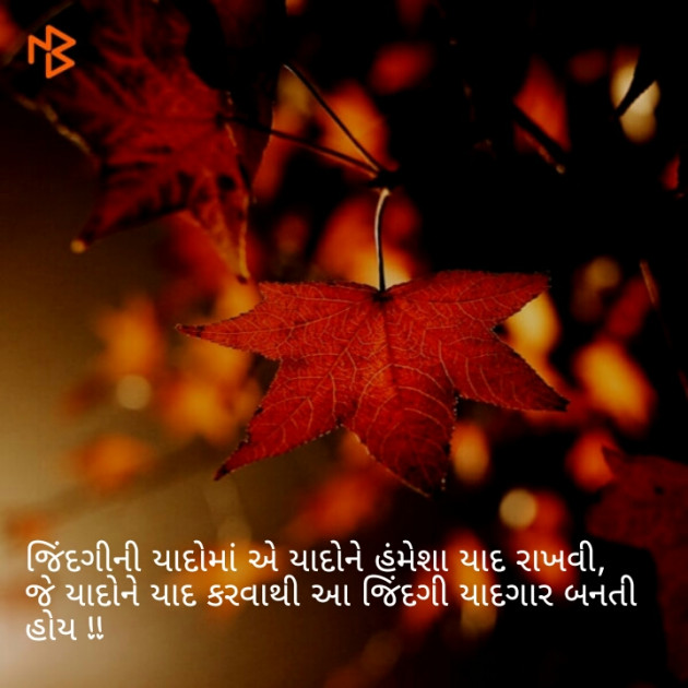 Gujarati Thought by Afsana : 111103209