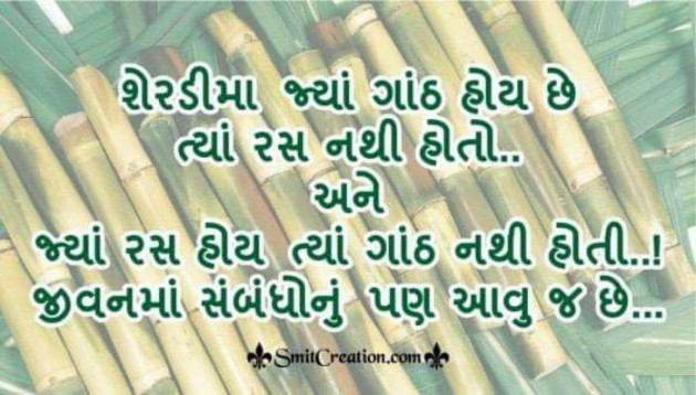English Quotes by Jasmin Mistry Jasmin Mistry : 111103662