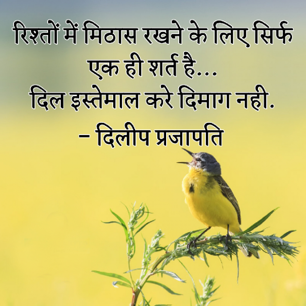 Gujarati Motivational by Dilip Prajapati : 111103803