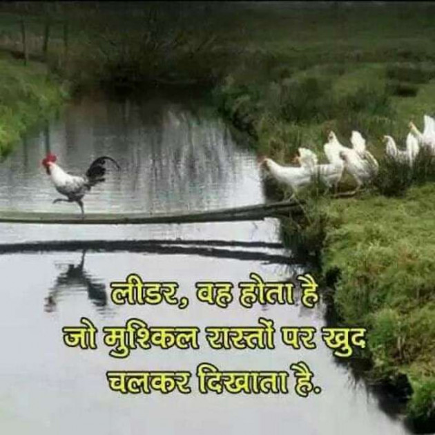 English Quotes by Jasmin Mistry Jasmin Mistry : 111104138