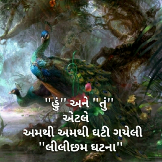 Gujarati Blog by Nidhi_Nanhi_Kalam_ : 111104141