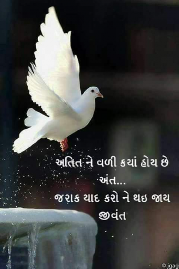 Gujarati Shayri by Rinku Panchal : 111104155