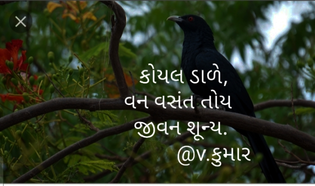 Gujarati Hiku by V. Parmar : 111104196