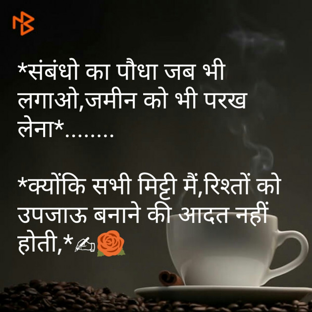 Gujarati Quotes by Kaushik Dave : 111104782