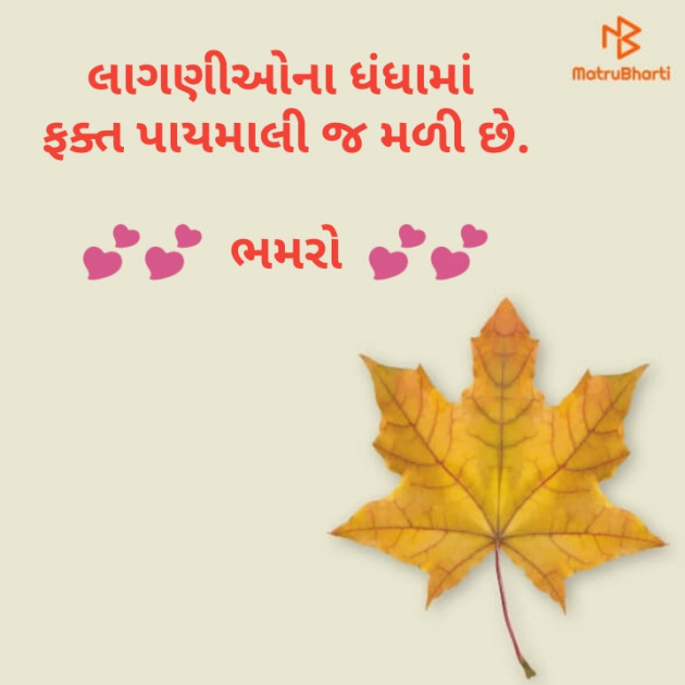 Gujarati Whatsapp-Status by Bhamro : 111105620