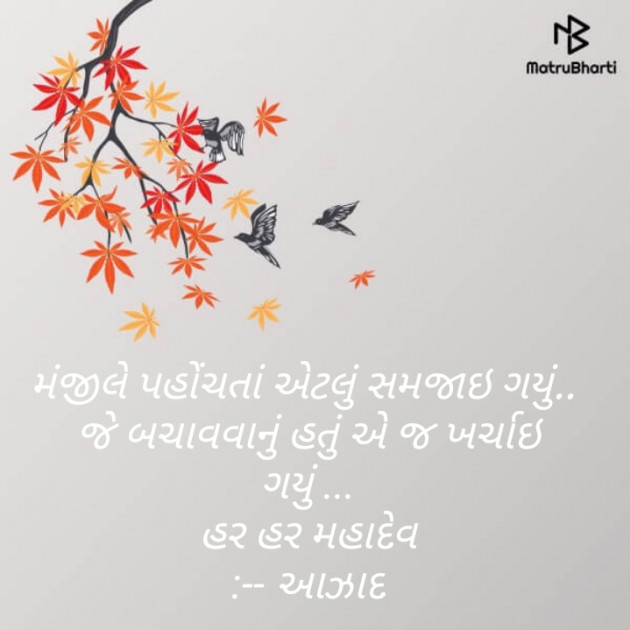 Gujarati Blog by Sanjay Dave : 111106496