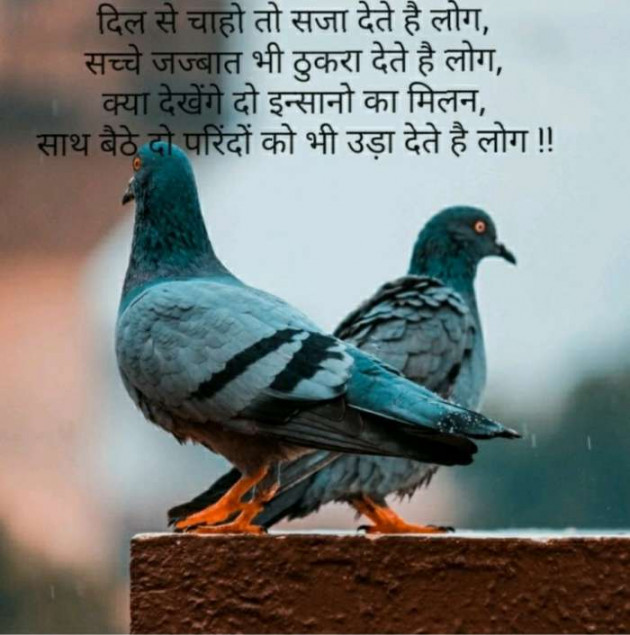 Gujarati Shayri by Chauhan Hiren : 111107402