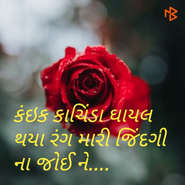 Gujarati Good Morning by Jalpa Sheth : 111107432