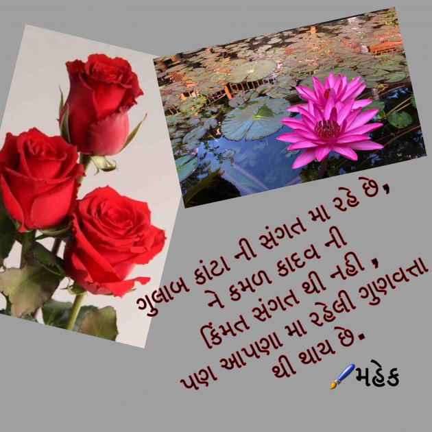 Gujarati Quotes by Mahek : 111107487