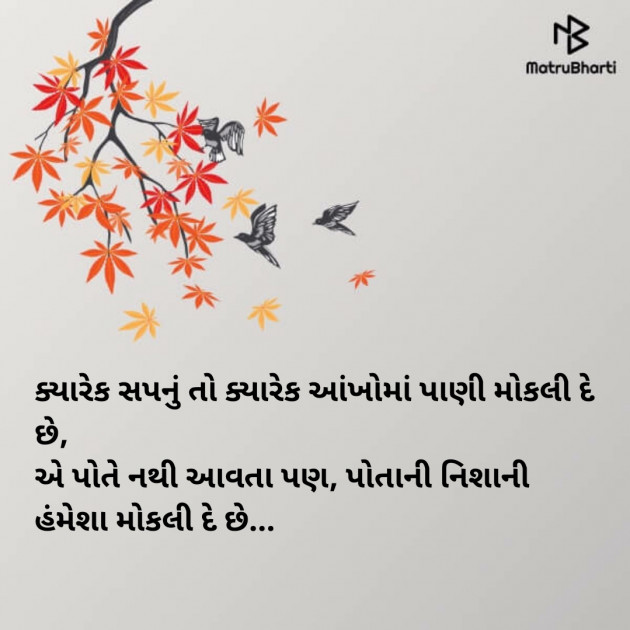 Gujarati Blog by GujjuBhai : 111107583