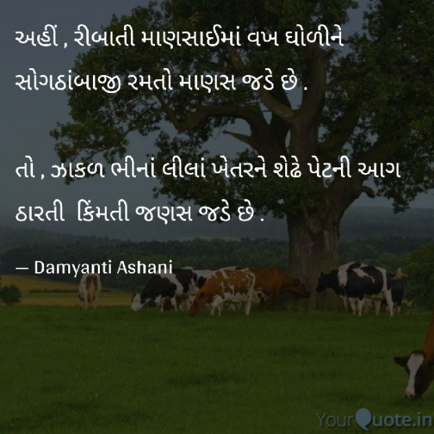 Gujarati Thought by Damyanti Ashani : 111107680