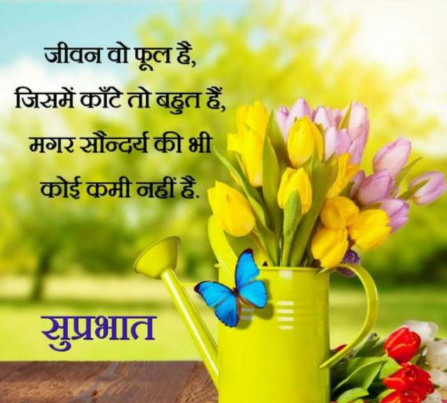 English Quotes by NSC : 111107987