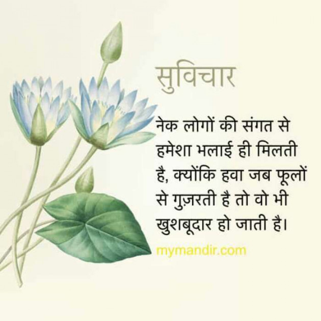 Gujarati Quotes by Kaushik Dave : 111108013