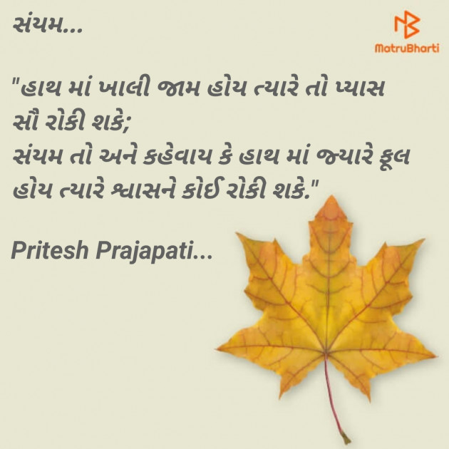 English Quotes by Pritesh Prajapati : 111108038