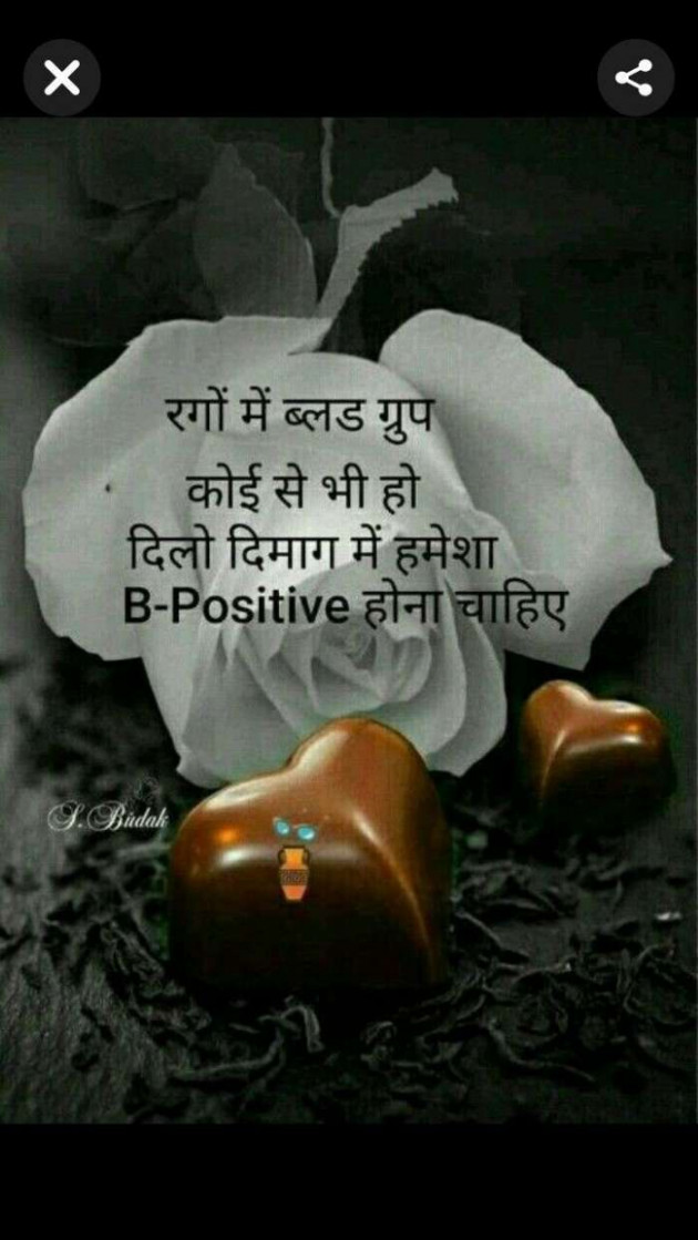 English Quotes by Komu : 111108101