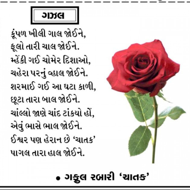 Gujarati Shayri by ગફુલ રબારી કવિ ચાતક : 111108215